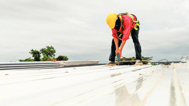 Roof Insulation Installation in Wilber, NE