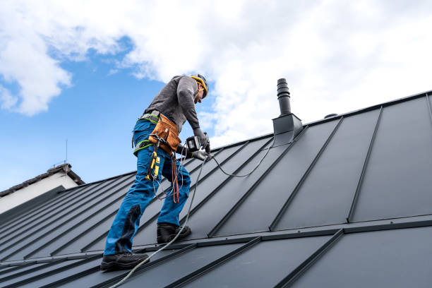 Best Solar Panel Roofing Installation  in Wilber, NE