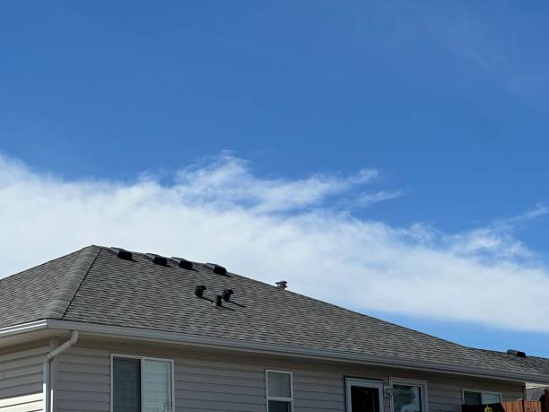 Best Sheet Metal Roofing  in Wilber, NE